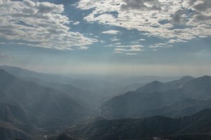 IMG_0841 (1)
